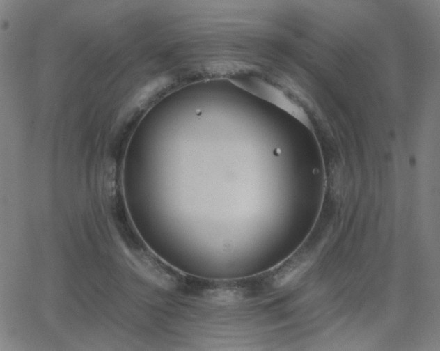 X0000062850356200601131356