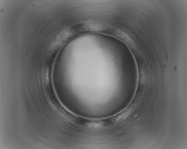 X0000062850358200601131356