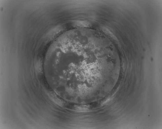 X0000062850359200601131356