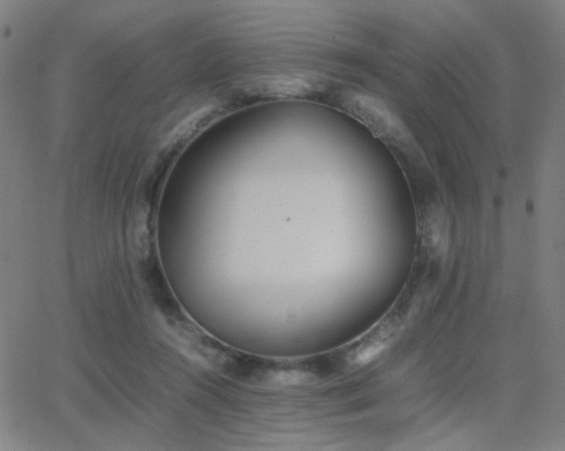 X0000062850360200601131356