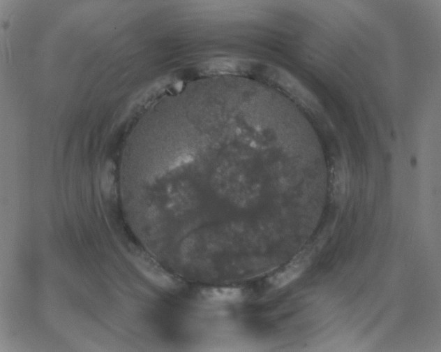 X0000062850361200601131356