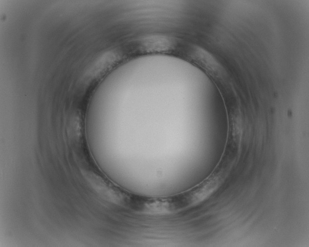 X0000062850362200601131356