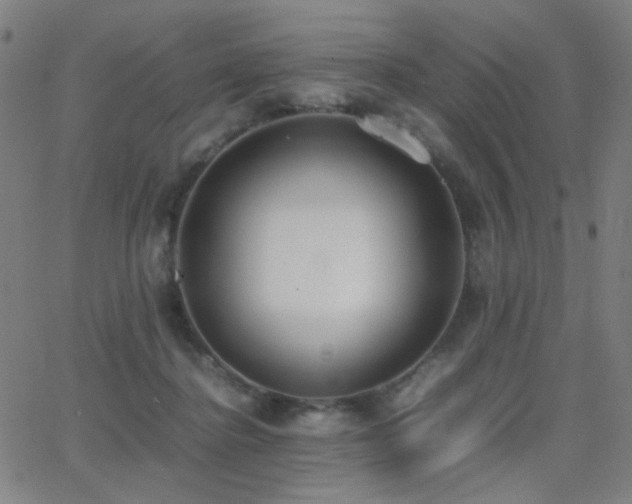 X0000062850364200601131356