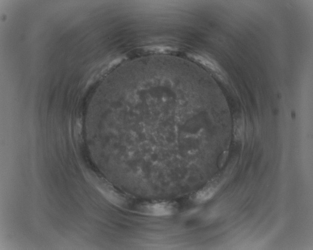 X0000062850365200601131356