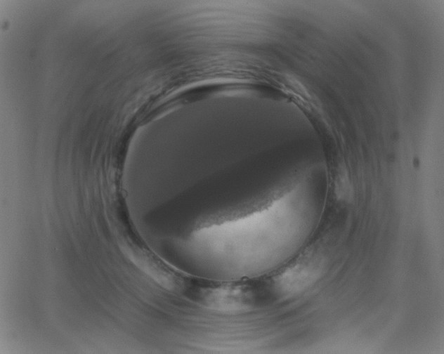 X0000062850366200601131356