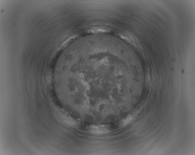 X0000062850367200601131356