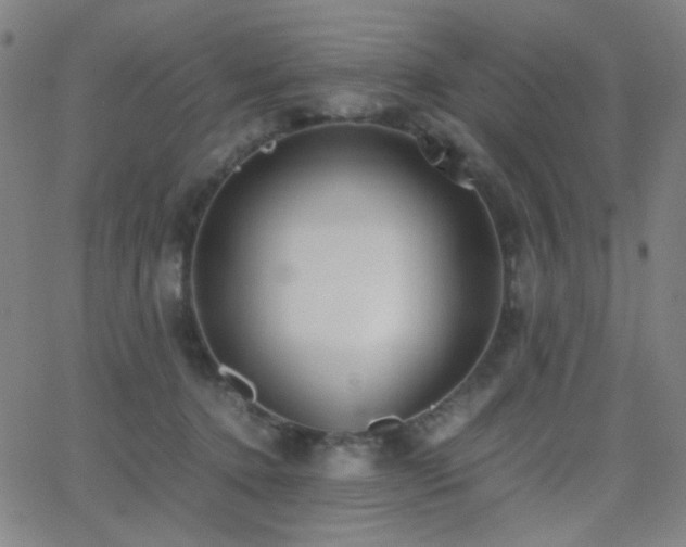 X0000062850368200601131356