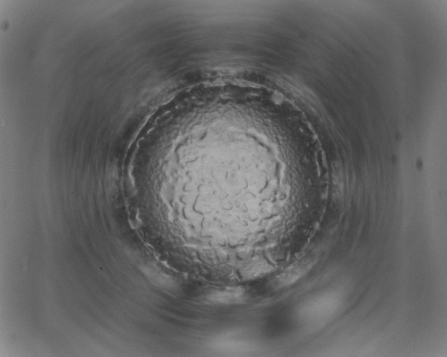 X0000062850369200601131356