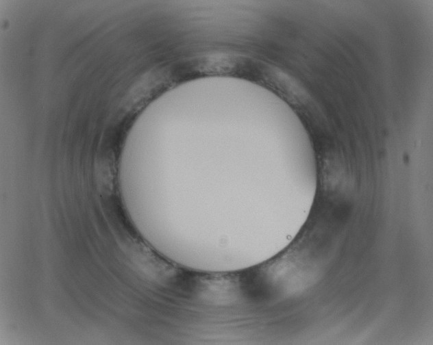 X0000062850370200601131356