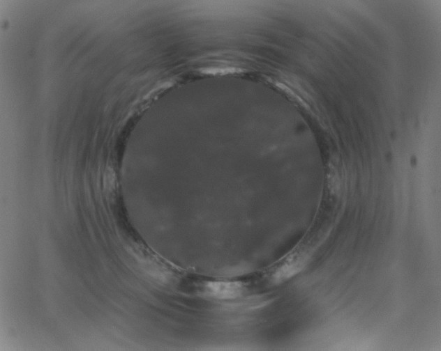 X0000062850371200601131356