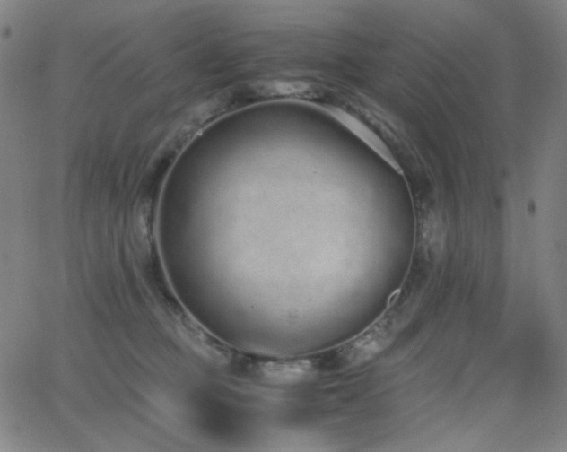 X0000062850373200601131356