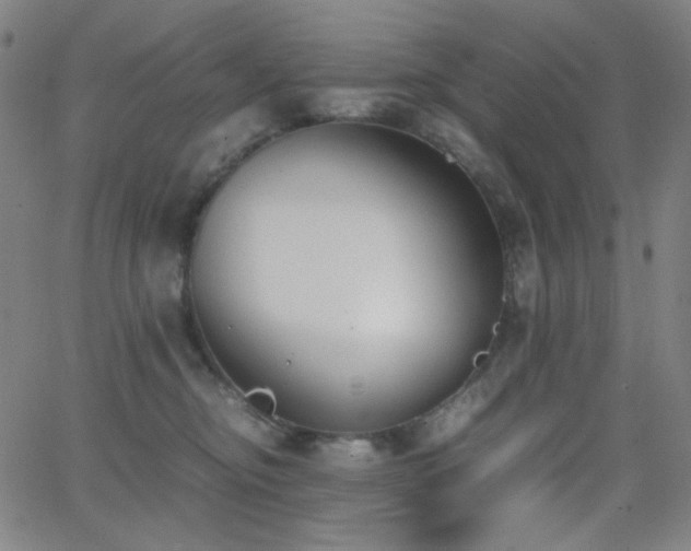 X0000062850374200601131356