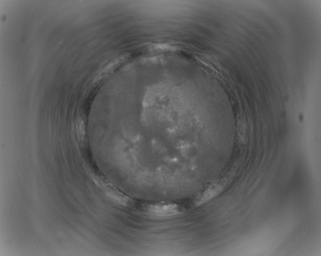 X0000062850375200601131356