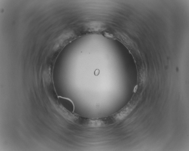 X0000062850376200601131356