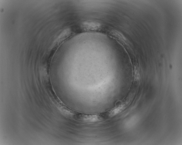 X0000062850377200601131356