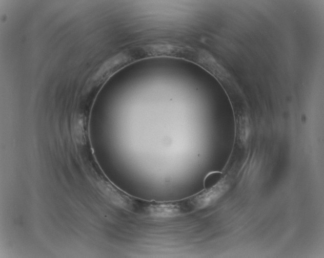 X0000062850378200601131356