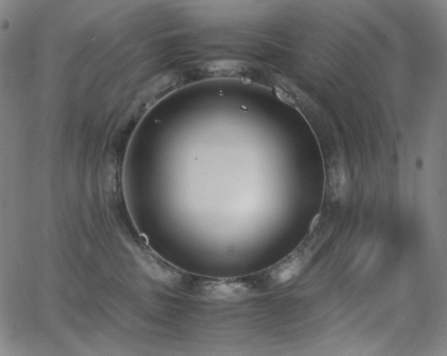 X0000062850379200601131356