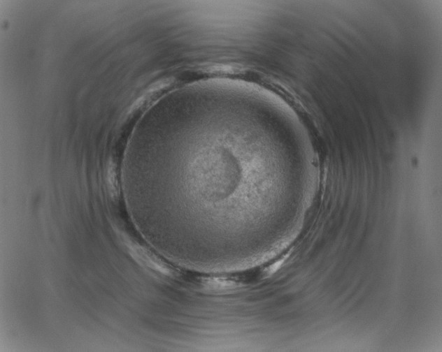 X0000062850380200601131356