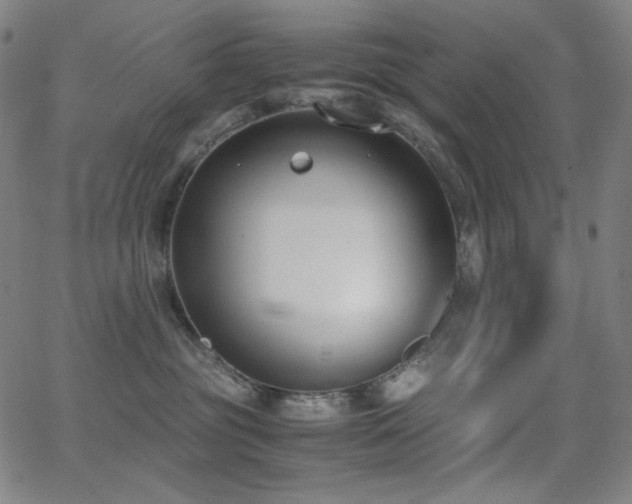 X0000062850381200601131356