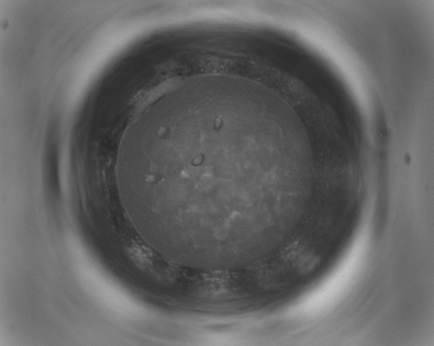 X0000062850382200601131356