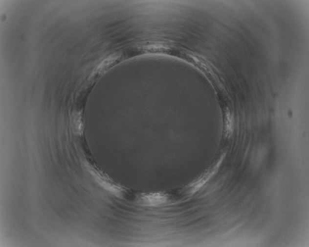 X0000062850383200601131356