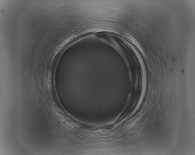 X0000062850387200601131355