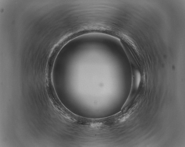 X0000062850388200601131355