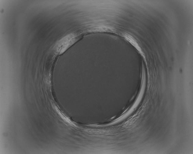 X0000062850389200601131355