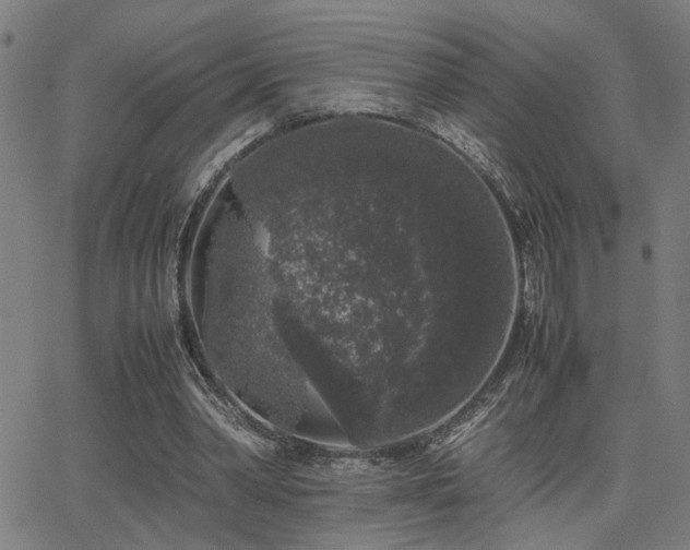 X0000062850390200601131355