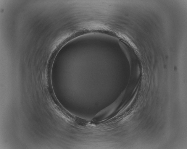 X0000062850391200601131355