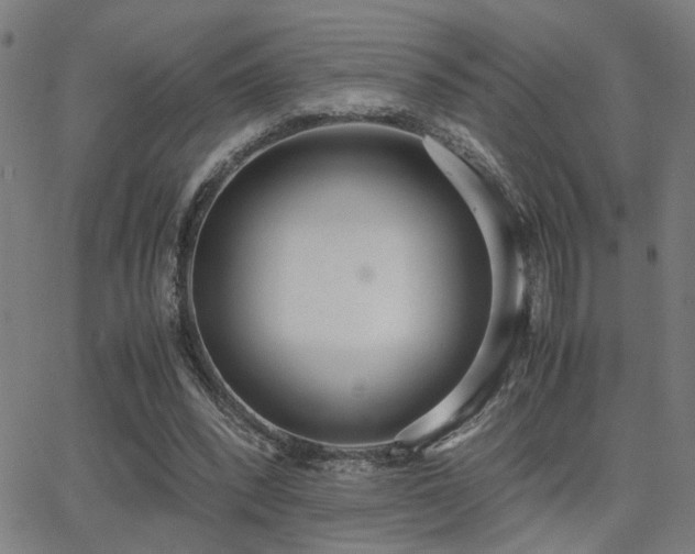 X0000062850392200601131355