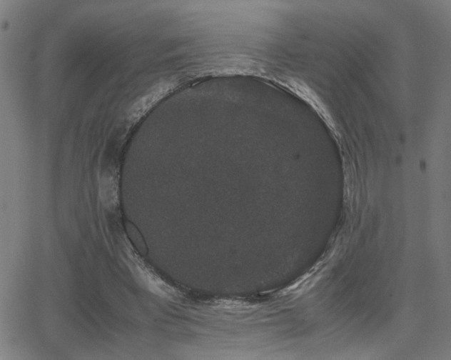 X0000062850393200601131355