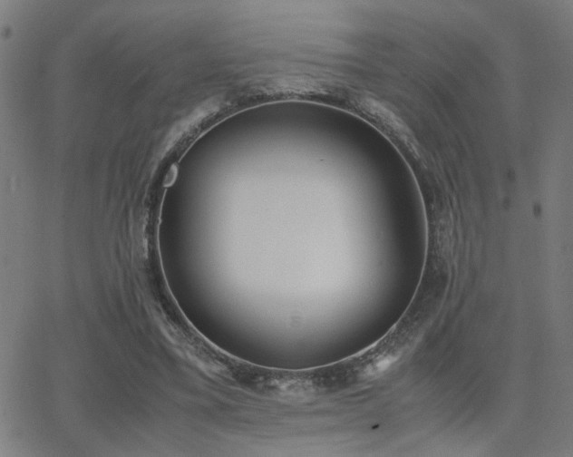 X0000062850395200601131355