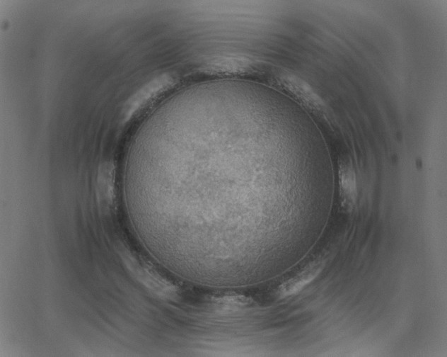 X0000062850396200601131355