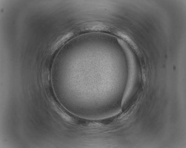 X0000062850397200601131355