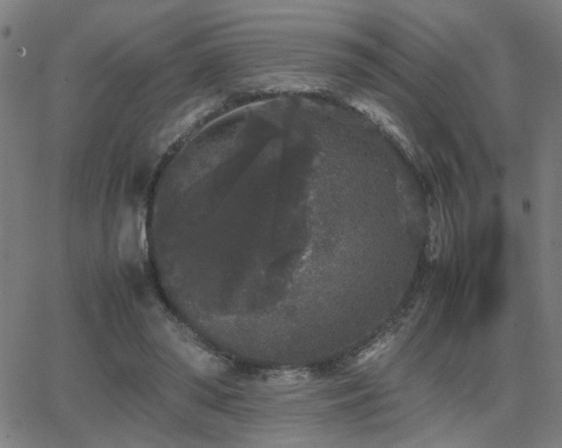 X0000062850398200601131355