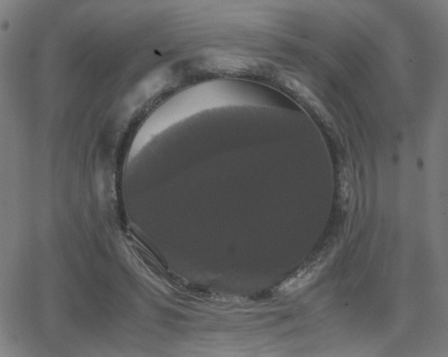 X0000062850399200601131355