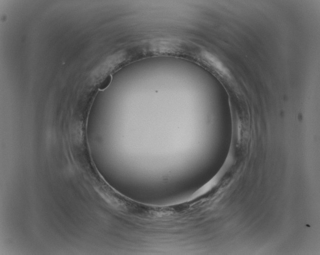 X0000062850401200601131355