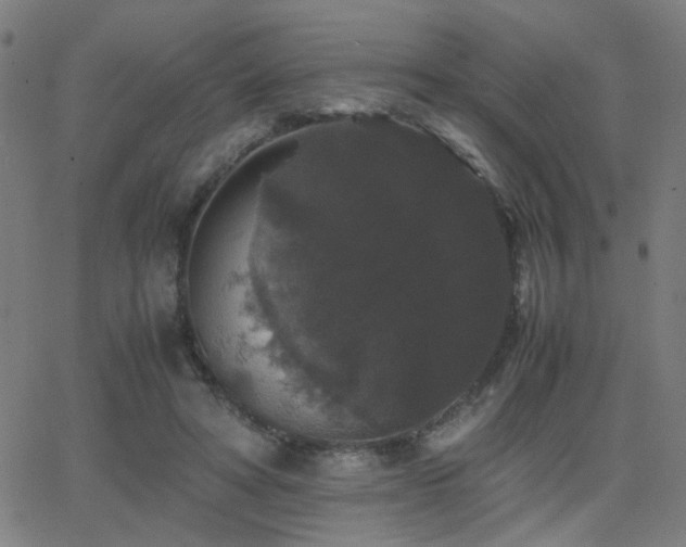 X0000062850402200601131355