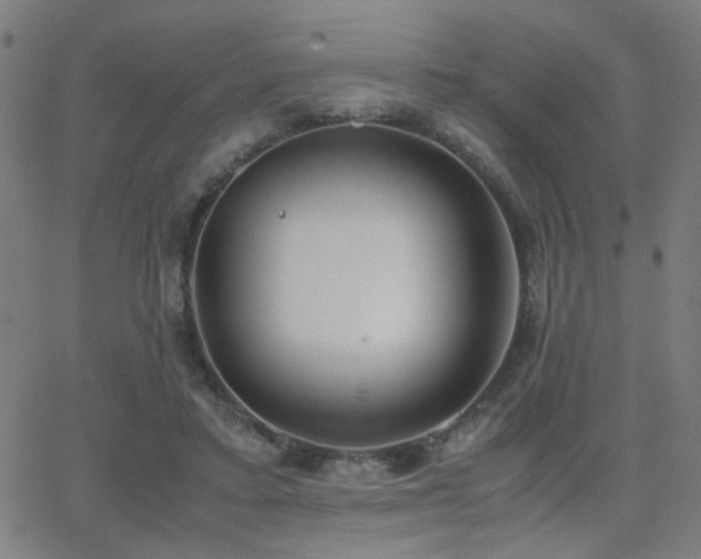 X0000062850403200601131355