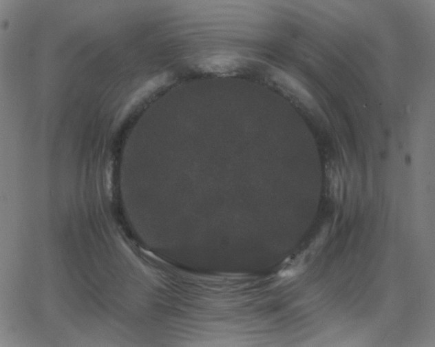 X0000062850404200601131355