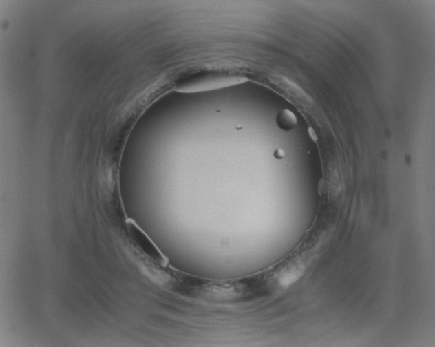 X0000062850405200601131355