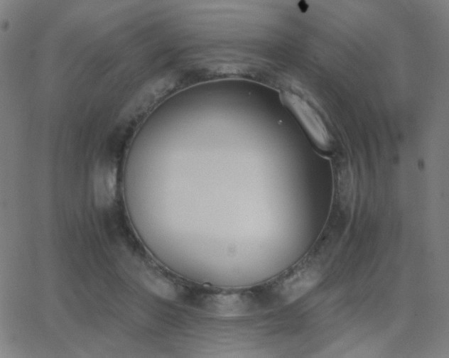 X0000062850406200601131355