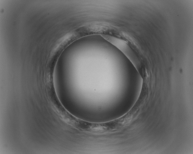 X0000062850407200601131355