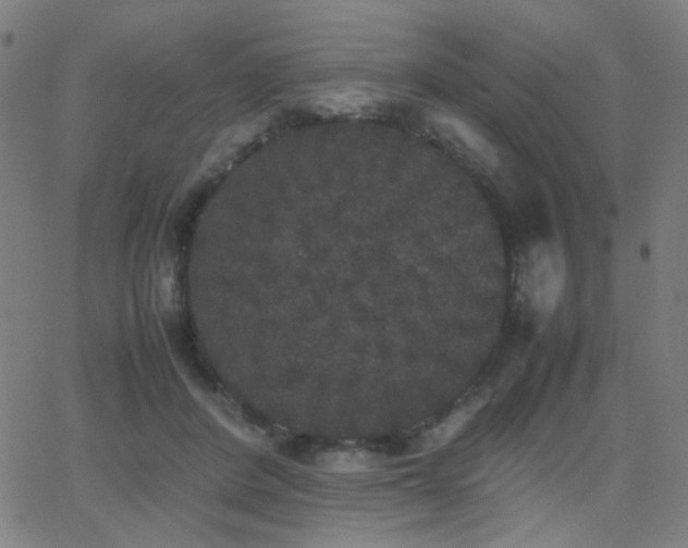 X0000062850408200601131355