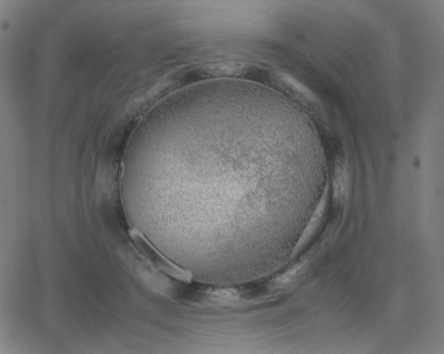 X0000062850409200601131355