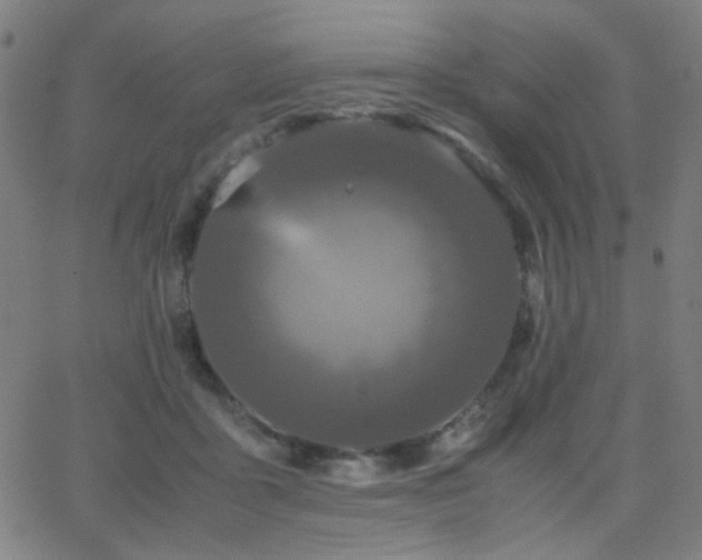 X0000062850411200601131355