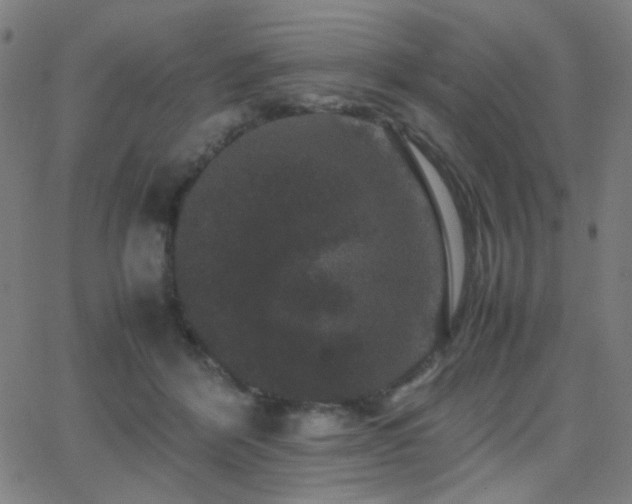 X0000062850412200601131355