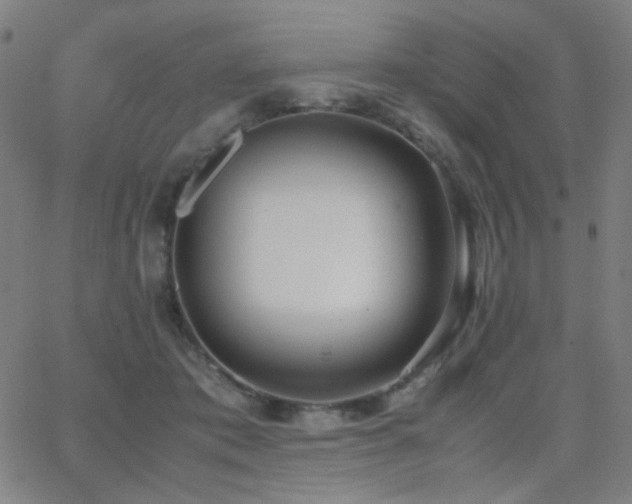 X0000062850413200601131355