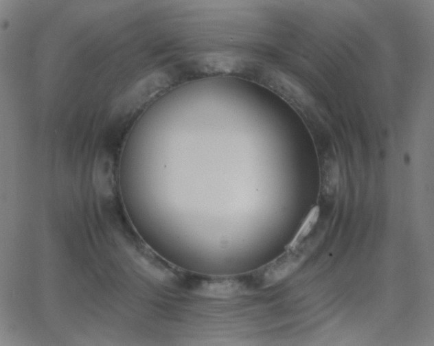 X0000062850414200601131355